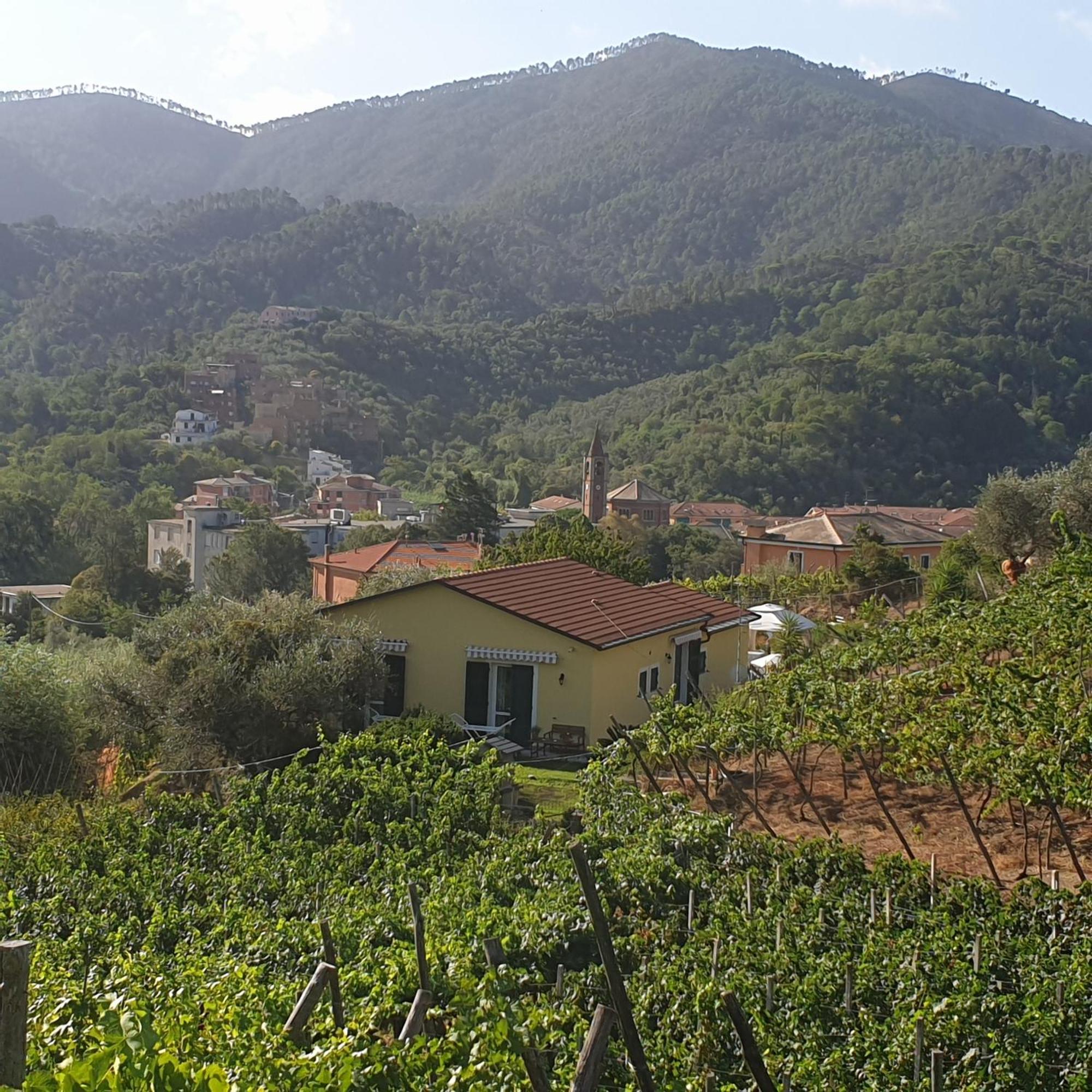 Agriturismo La Collina Verde Леванто Екстериор снимка